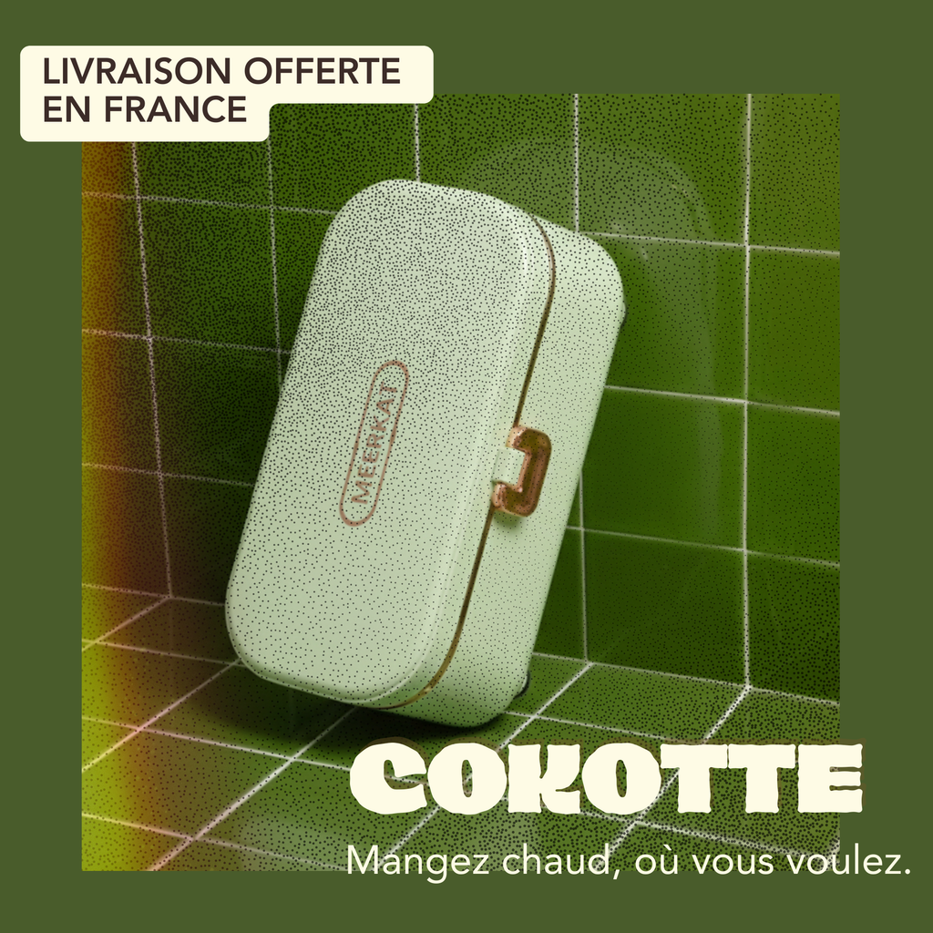 Lunch Box Chauffante Électronique Portable – Chauffe en 15 min, Compacte & Nomade